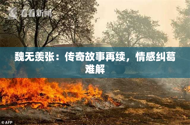 魏无羡张：传奇故事再续，情感纠葛难解