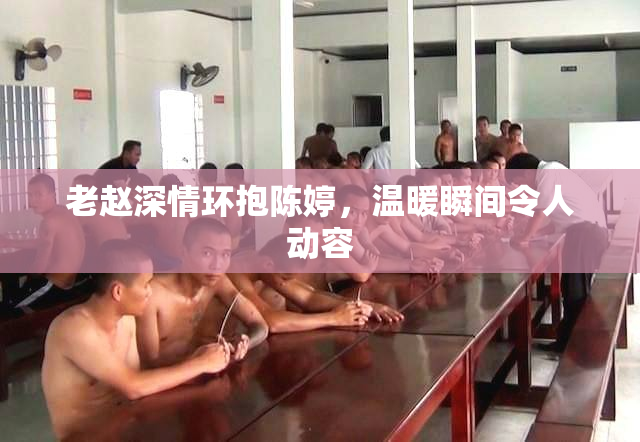 老赵深情环抱陈婷，温暖瞬间令人动容