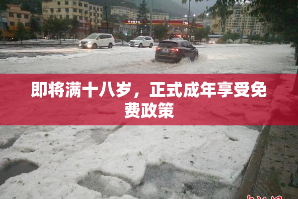 即将满十八岁，正式成年享受免费政策