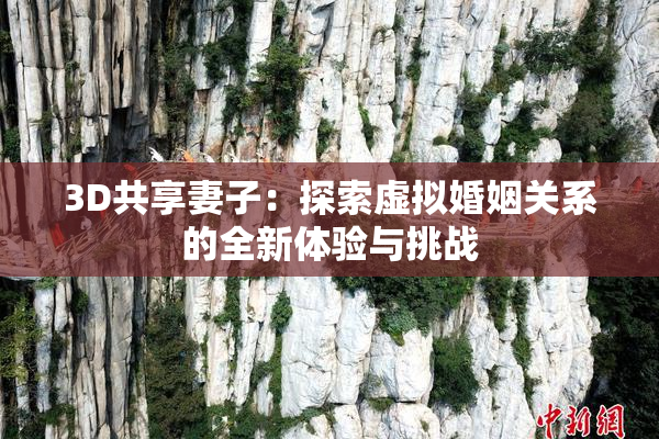 3D共享妻子：探索虚拟婚姻关系的全新体验与挑战