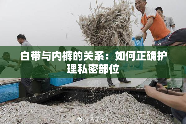 白带与内裤的关系：如何正确护理私密部位