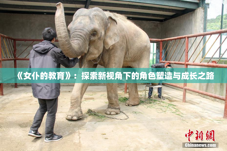 《女仆的教育》：探索新视角下的角色塑造与成长之路