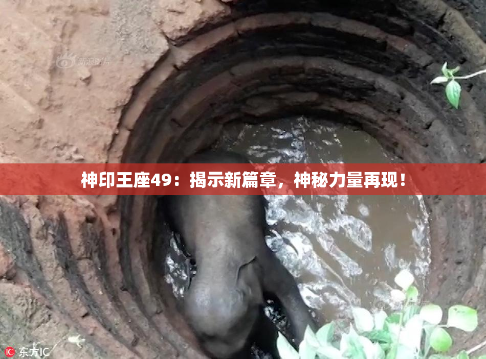 神印王座49：揭示新篇章，神秘力量再现！