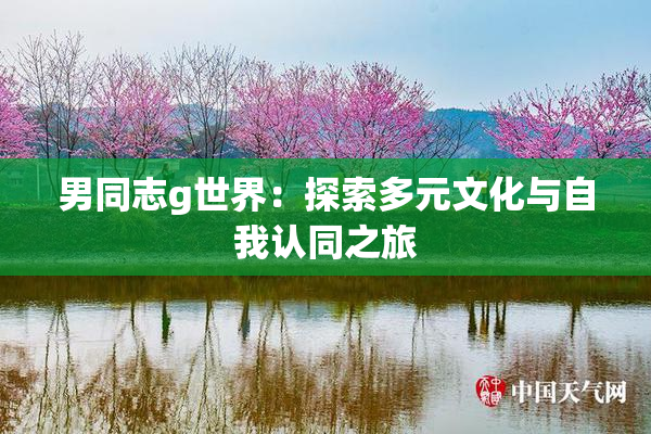 男同志g世界：探索多元文化与自我认同之旅