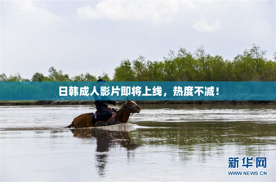 日韩成人影片即将上线，热度不减！
