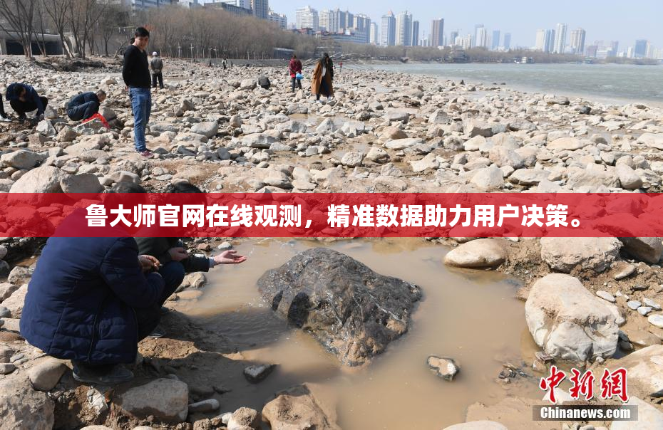 鲁大师官网在线观测，精准数据助力用户决策。
