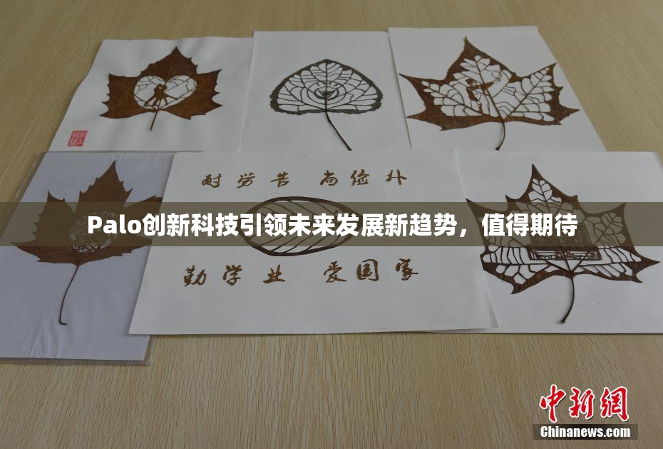 Palo创新科技引领未来发展新趋势，值得期待