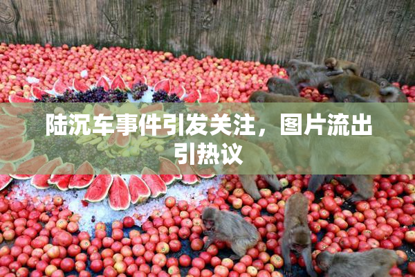 陆沉车事件引发关注，图片流出引热议