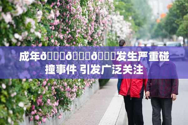 成年🍆🍑🔞发生严重碰撞事件 引发广泛关注