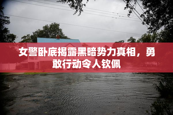 女警卧底揭露黑暗势力真相，勇敢行动令人钦佩