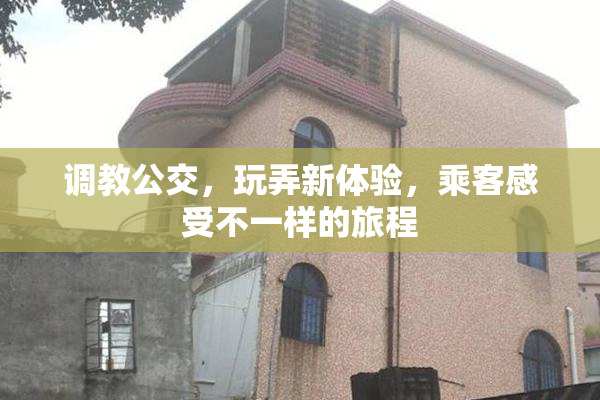调教公交，玩弄新体验，乘客感受不一样的旅程