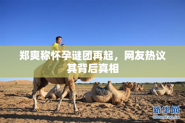 郑爽称怀孕谜团再起，网友热议其背后真相