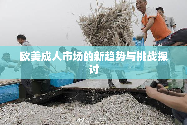 欧美成人市场的新趋势与挑战探讨