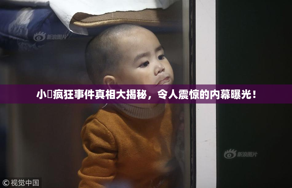 小泬疯狂事件真相大揭秘，令人震惊的内幕曝光！