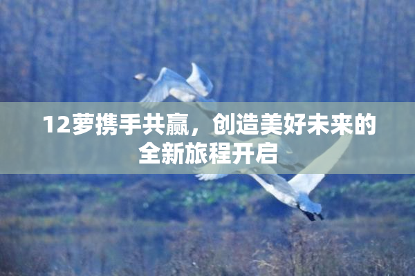 12萝携手共赢，创造美好未来的全新旅程开启