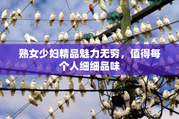 熟女少妇精品魅力无穷，值得每个人细细品味