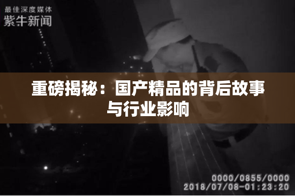 重磅揭秘：国产精品的背后故事与行业影响