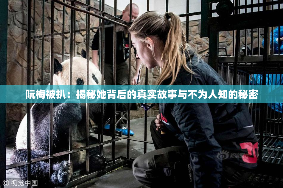阮梅被扒：揭秘她背后的真实故事与不为人知的秘密
