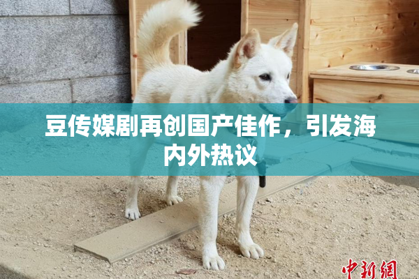 豆传媒剧再创国产佳作，引发海内外热议
