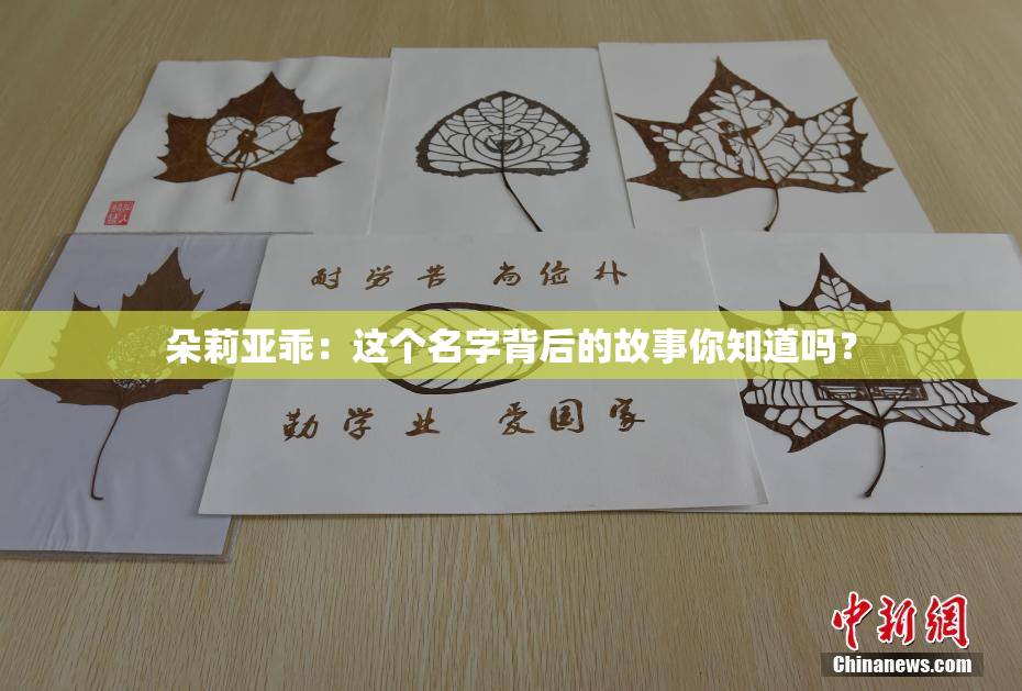 朵莉亚乖：这个名字背后的故事你知道吗？