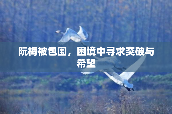 阮梅被包围，困境中寻求突破与希望
