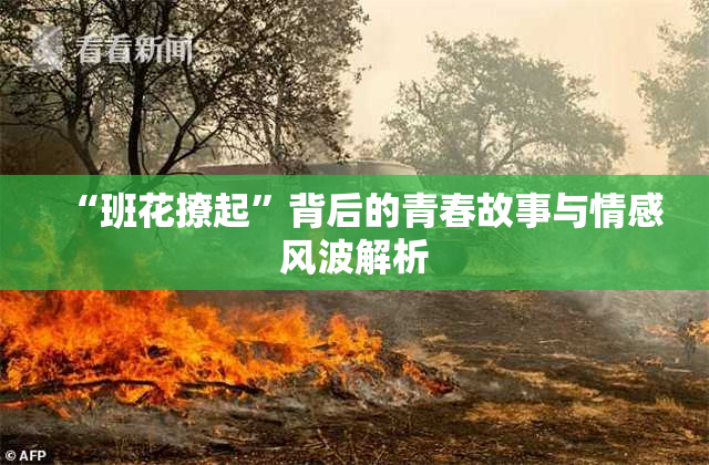 “班花撩起”背后的青春故事与情感风波解析