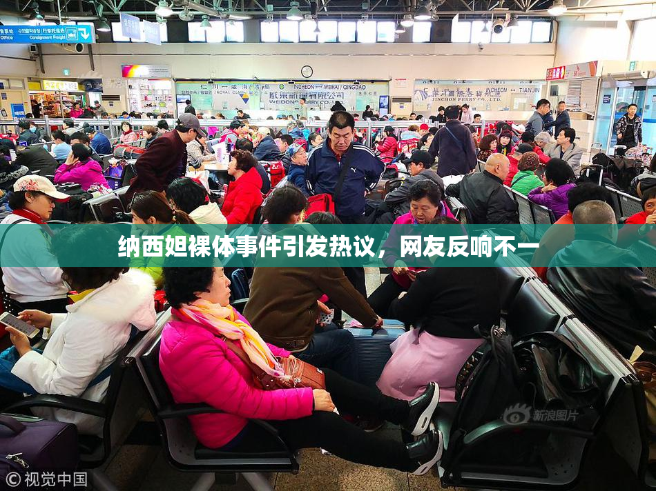纳西妲裸体事件引发热议，网友反响不一