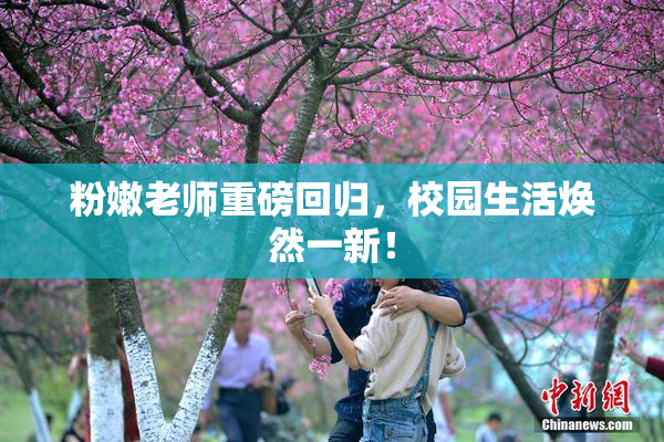 粉嫩老师重磅回归，校园生活焕然一新！