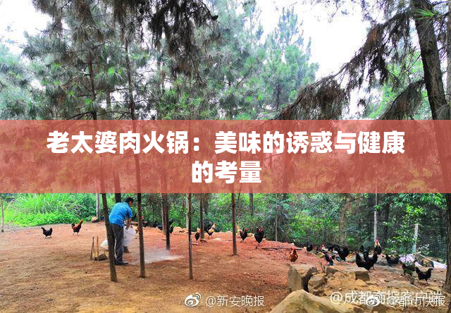 老太婆肉火锅：美味的诱惑与健康的考量
