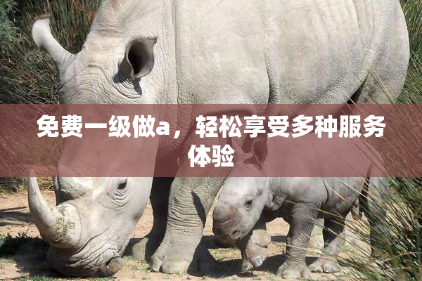 免费一级做a，轻松享受多种服务体验