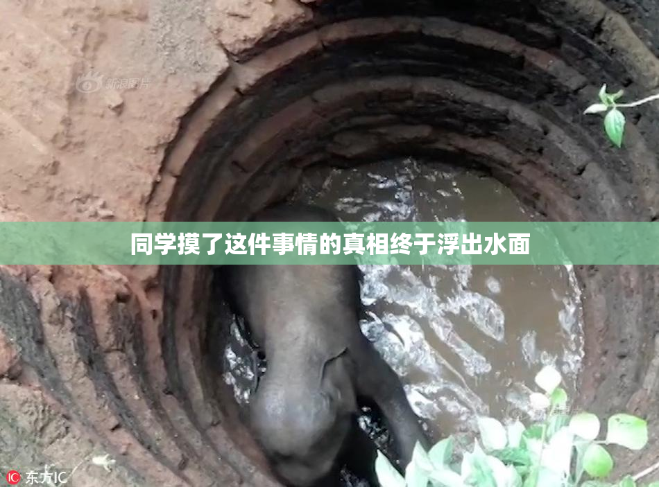 同学摸了这件事情的真相终于浮出水面