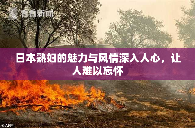 日本熟妇的魅力与风情深入人心，让人难以忘怀