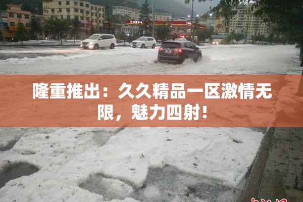 隆重推出：久久精品一区激情无限，魅力四射！