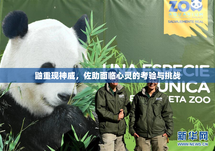 鼬重现神威，佐助面临心灵的考验与挑战