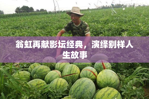 翁虹再献影坛经典，演绎别样人生故事