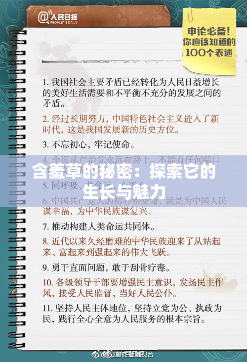含羞草的秘密：探索它的生长与魅力