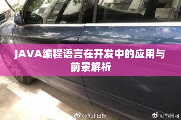 JAVA编程语言在开发中的应用与前景解析