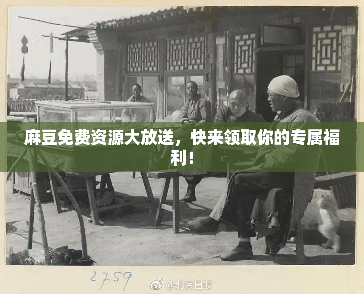 麻豆免费资源大放送，快来领取你的专属福利！