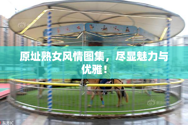 原址熟女风情图集，尽显魅力与优雅！