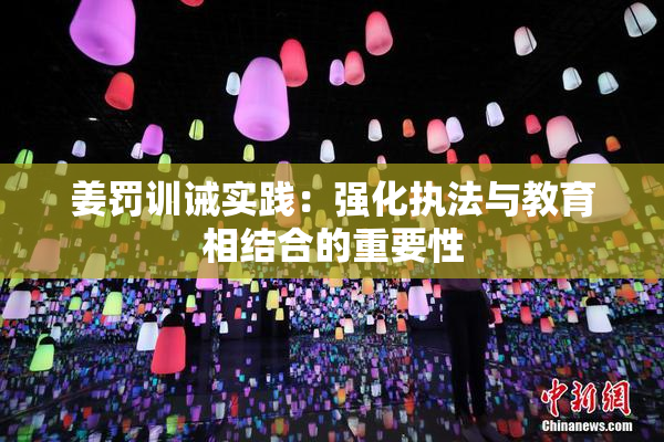姜罚训诫实践：强化执法与教育相结合的重要性