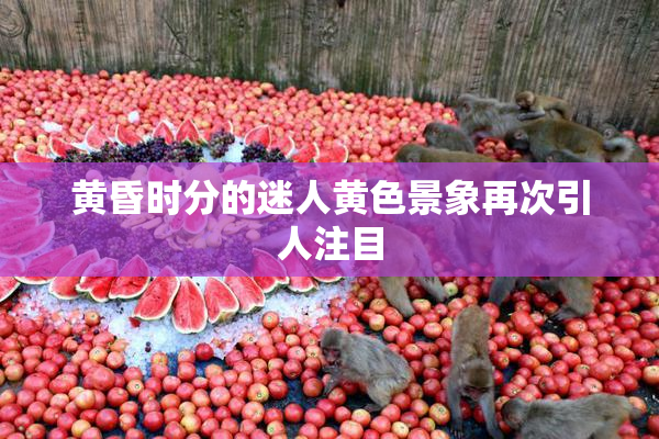 黄昏时分的迷人黄色景象再次引人注目