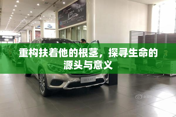 重构扶着他的根茎，探寻生命的源头与意义