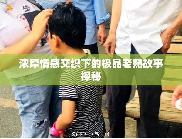 浓厚情感交织下的极品老熟故事探秘