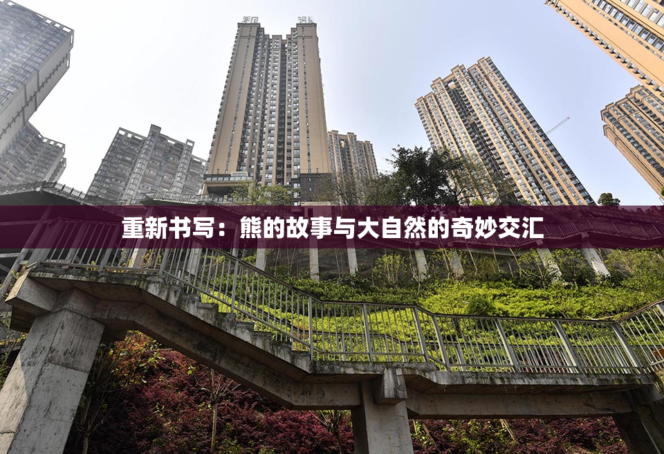 重新书写：熊的故事与大自然的奇妙交汇