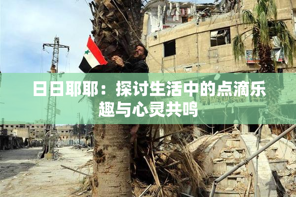 日日耶耶：探讨生活中的点滴乐趣与心灵共鸣