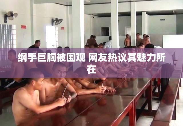纲手巨胸被围观 网友热议其魅力所在