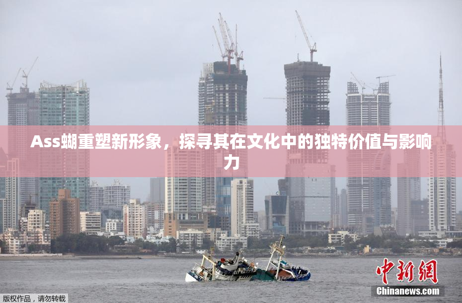 Ass蝴重塑新形象，探寻其在文化中的独特价值与影响力