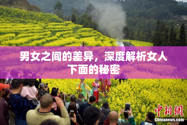 男女之间的差异，深度解析女人下面的秘密