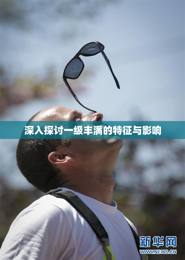 深入探讨一级丰满的特征与影响