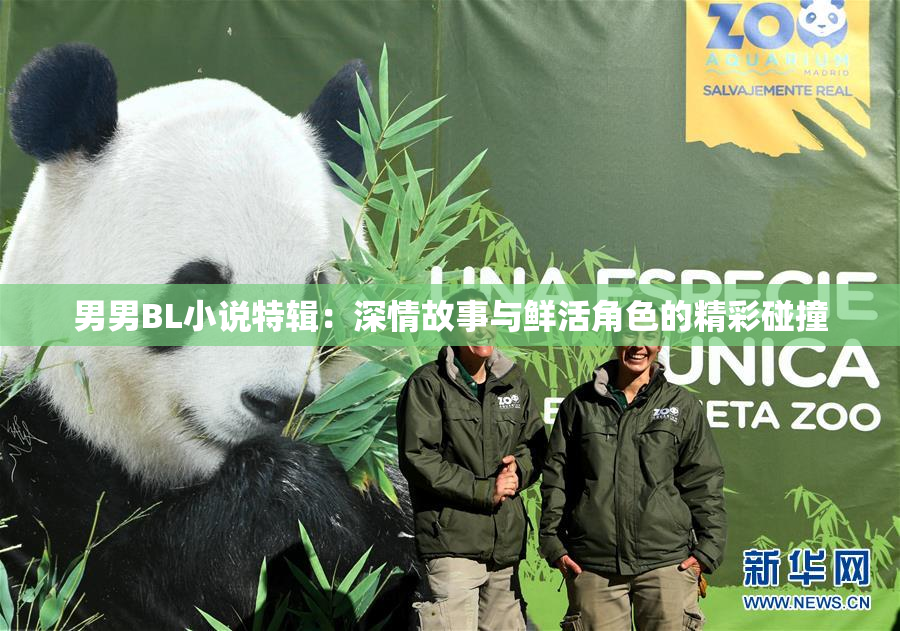 男男BL小说特辑：深情故事与鲜活角色的精彩碰撞